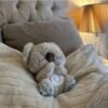Peluche antiestrés - koala y elefante